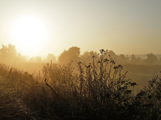 37682 (a): :1600x1200